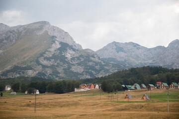 Virgin forests, fields and beautiful mountains in Zabljak Montenegro.