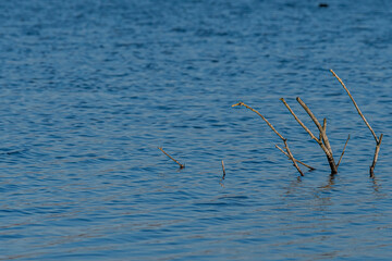 L'eau cache des secrets