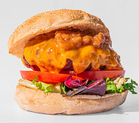 fresh tasty burger on white background
