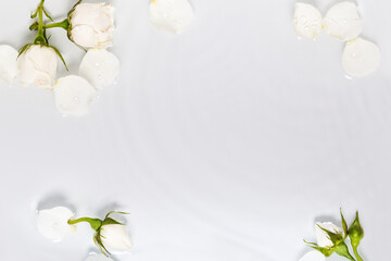 Modern floral backgrounds, white water background with drops