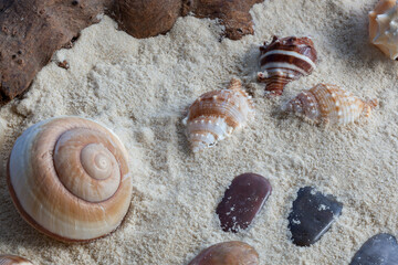 Shells and stones