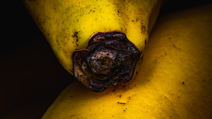 Końcówka banana w powiększeniu © Artur