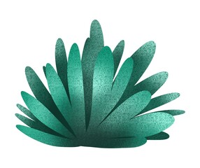 Grunge hand drawn pencil chalk succulent illustration. Gardening. Can be used for harvest festival card, banner, gardening day template, farmer’s market, summer illustration