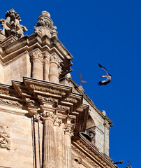 Fototapeta na wymiar Flying stork against the background of the sky flies on the dome of the Cathedral in Salamanca, Spain.