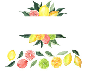 Citrus arrangement with leaves isolated