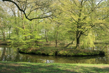 Kleiner Kanal in einem Landschaftspark in Bremen