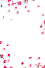 Frame of pink flowers and petals apple tree on a white background with space for text. Top view, flat lay