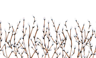 Willow seamless border on white background, watercolor illustration
