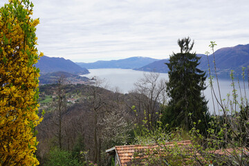 Fototapeta na wymiar panoramic view of lake Maggiore, Ticino
