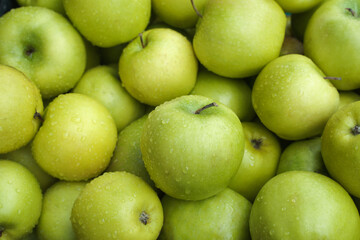 fresh green apples background. harvest of ripe fruit
