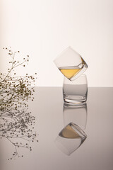 green tea kombucha in a glass with plants on acrylic glass