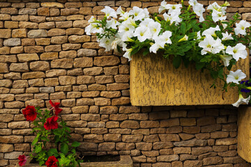 Petunia flowers adorn the mansion's stone fence