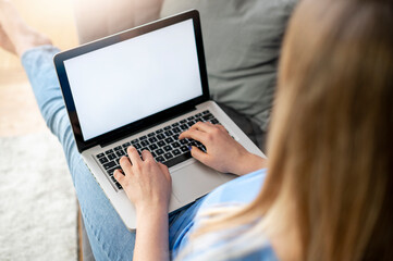 Fototapeta premium young woman using laptop while sitting on comfortable sofa, home interior. Stay at home