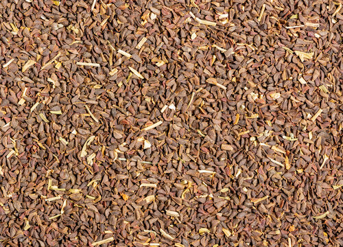 Peganum seed texture. Also known as peganum harmala or wild rue. It is considered a noxious weed in some countries. This plant is popular in Middle Eastern and north African folk medicine.