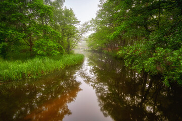 Obraz premium Poland, around the town of Debki, a river called Piasnica in spring colors