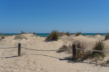 Momentos en las dunas de Guardamar del Segura