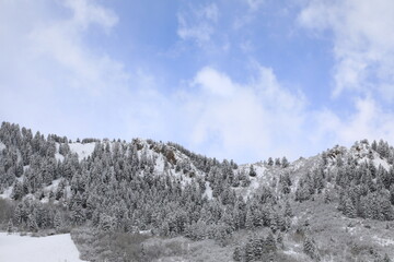 Fototapeta na wymiar landscape with snow on the mountain 