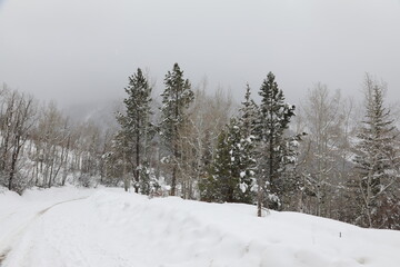 Snow blizzard on a mountain