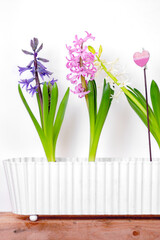 natural background with blue, pink, white hyacinths and with a symbolic heart on a stick close up on light background, concept of spring, holiday, Easter.