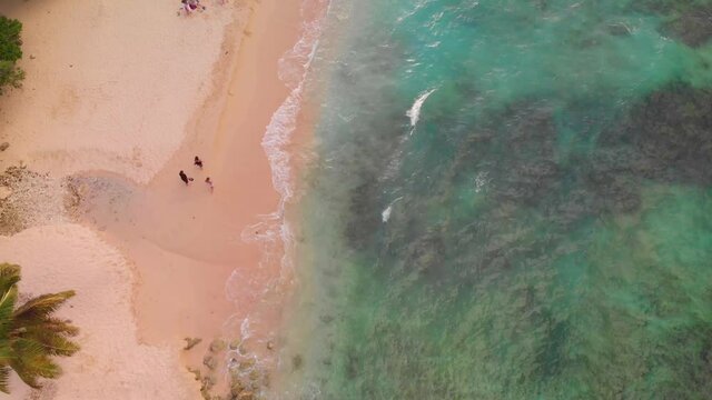 Aerial view of a paradise beach with turquoise water in the Caribbean, top shot by drone with people walking and waves. Anse-Bertrand, Guadeloupe