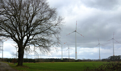 Fototapeta na wymiar wind turbines farm. A leafless tree with wind turbines in the background 