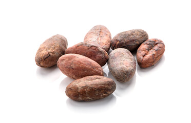 Cocoa beans isolated on a white background.