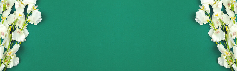 Flower background banner with place for text, flat lay style