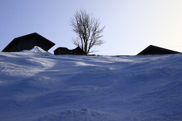 Die St&uuml;mpfling-Almen