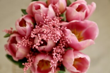 Bouquet of beautiful pink tulips in early spring as a postcard or picture with nice flowers