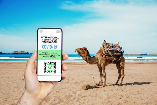 Coronavirus vaccination certificate or vaccine passport for travellers concept. COVID-19 immunity e-passport in the smartphone mobile app for international travelling. Ocean summer beach background.