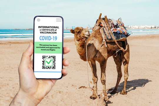 Coronavirus vaccination certificate or vaccine passport for travellers concept. COVID-19 immunity e-passport in the smartphone mobile app for international travelling. Ocean summer beach background.