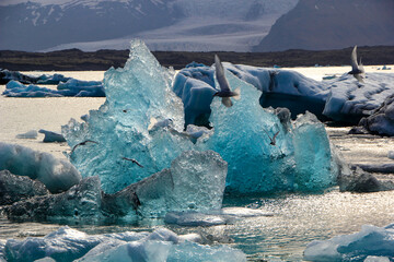 Icebergs swimming in the Jökulsárlón glacier lake, Vatnajökull National Park, Iceland