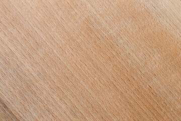 Natural wood for use as a background.