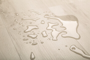 Water and moisture on the wooden parquet floor in the living room. Moisture protection for wooden...