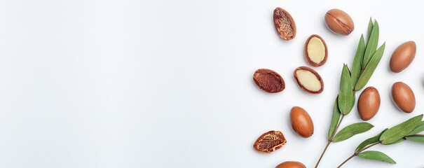 Argan seeds isolated on a white banner background. Argan oil nuts with plant. Cosmetics and natural...