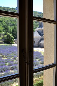 Window of an Abbey