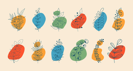 Vector set of nerd elements with circles of different colors on an isolated background. Tropical plants, leaves and branches with flowers. Hand drawn style. For printing on fabric and clothing, © Lapalovee