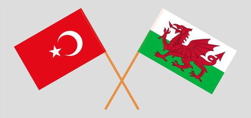 Crossed flags of Turkey and Wales. Official colors. Correct proportion