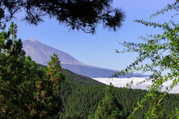 Mountainous landscape in Tenerife with green trees and unrivaled views on Islands Canaries