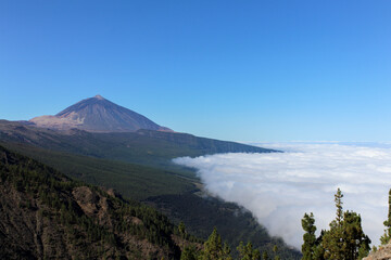 Fototapeta premium Mountainous landscape in Tenerife with green trees and unrivaled views on Islands Canaries