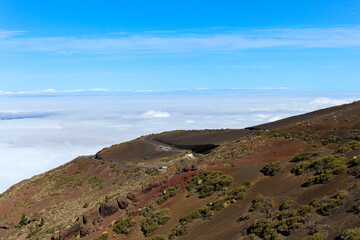 Mountainous landscape in Tenerife with green trees and unrivaled views on Islands Canaries
