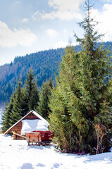 Old carriage near small wooden house in the forest mountains