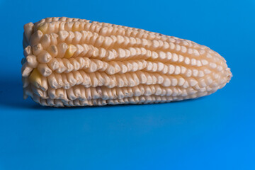 An isolated shot of white corn on a blue background