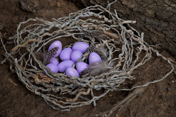 Purple easter eggs lie in the nest on the ground.