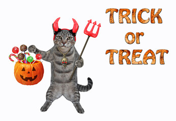 A gray cat in red horns is holding a devil trident and a pumpkin pail with candies for Halloween. White background. Isolated.