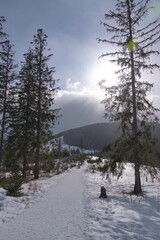 Path to Rusinowa polana i Tatry National Park. © Marcin