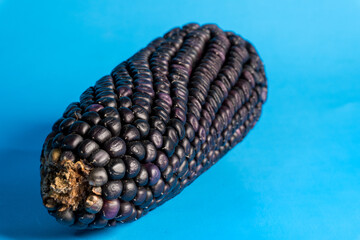 An isolated shot of purple corn on a blue background