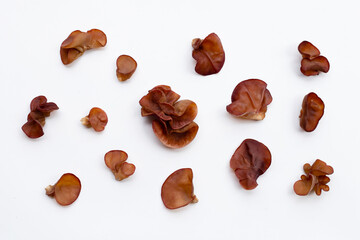 Black fungus mushroom on white.