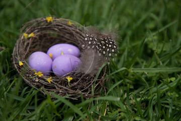 Three purple easter eggs lie in the nest on the green grass.