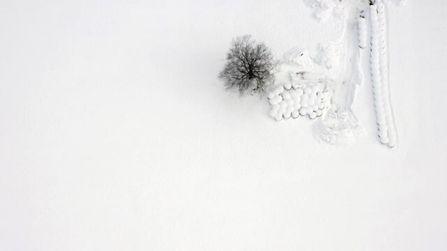 Birch tree and haystacks in a covered snowy field. Bird's eye view